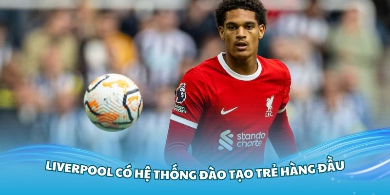 Liverpool có hệ thống đào tạo trẻ hàng đầu thế giới